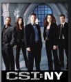 CSI NY